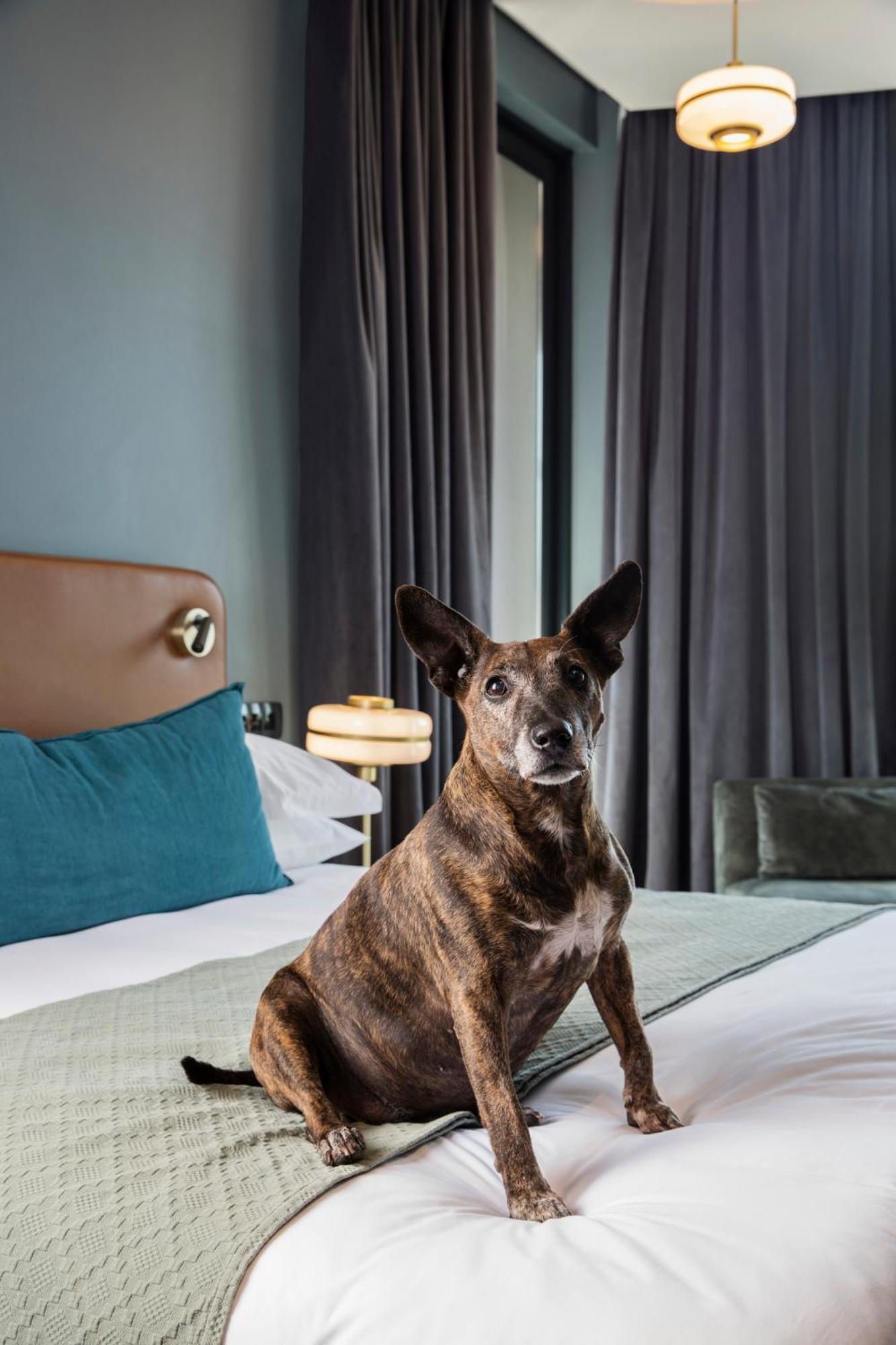 Home Suite Hotels Rosebank Johannesburg Buitenkant foto